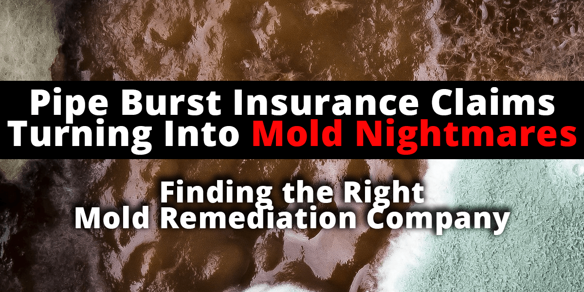 Mold Remediation Company Pipe Burst Insurance Claims The Voss Law Firm, P.C.